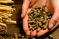 Rhadyr pellet boiler